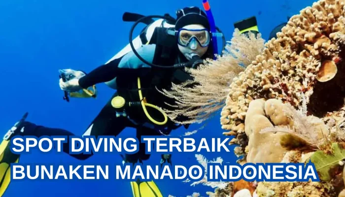 spot diving terbaik di sulawesi utara